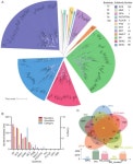 Decoding Pecan’s Fungal Foe: A Genomic Insight into Colletotrichum plurivorum Isolate W-6