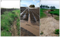 Land | Free Full-Text | Using Source Fingerprinting Techniques to Investigate Sediment Sources during Snowmelt and Rainfall... 