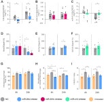 miR-294 and miR-410 Negatively Regulate Tnfa, Arginine Transporter Cat1/2, and Nos2 mRNAs in Murine Macrophages Infected with... 