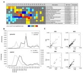 Separation and Paired Proteome Profiling of Plant Chloroplast and Cytoplasmic Ribosomes