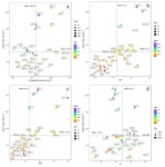 Adaptation of Interspecific Mesoamerican Common Bean Lines to Acid Soils and High Temperature in the Amazon Region of Colombia