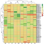 Exploring the Phenotypic and Genetic Variabilities in Yield and Yield-Related Traits of the Diallel-Crossed F5 Population of Aus Rice