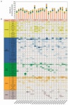 Plants | Free Full-Text | Genome-Wide Identification and Characterization of the GASA Gene Family in Medicago truncatula, and... 