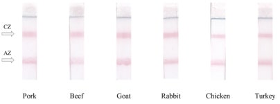 Lateral Flow Test System to Control Total Content of Muscle Tissues in Raw Meat Products