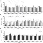 The Pharmacological Potential of Novel Melittin Variants from the Honeybee and Solitary Bees against Inflammation and Cancer