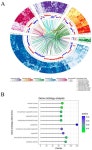 Transcriptomic Characterization of the Porcine Urinary Bladder Trigone Following Intravesical Administration of Resiniferatoxin... 