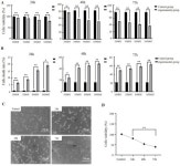 Mycoplasma synoviae Induces Apoptosis in Chicken Oviduct Cells
