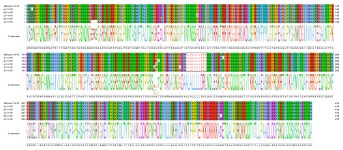 Strong SARS-CoV-2 N-Specific CD8+ T Immunity Induced by Engineered Extracellular Vesicles Associates with Protection from Lethal... 
