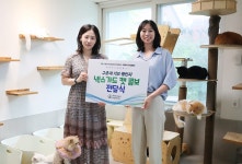 메디포뉴스 베링거인겔하임동물약품, 유기묘 보호소에 종합 내·외부구충제 기부
