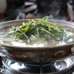 당근마차 - 강원 속초시 동명동 지역맛집