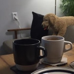 무봉리토종순대국 - 울산 남구 달동 지역맛집