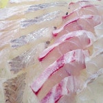 만선횟집 - 경기 고양시 일산동구 장항동 지역맛집