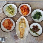 부두식당 - 강원 고성군 현내면 지역맛집