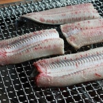 싱싱장어 - 충남 천안시 동남구 용곡동 지역맛집