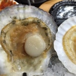 진주품은활어 - 서울 서초구 양재동 지역맛집