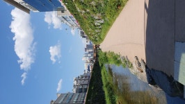 순대국에 해장 산책입니다. | Free Board | Metal Kingdom 순대국에 해장 산책입니다. | Free Board