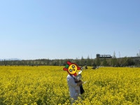 Miamasvin Review | 따뜻한 색감과 편안함 노랑색이랑 둘다 구매했는데 제가좋아하는스탈이고 날씬해보이고 맘에들어요 노랑은화사... 