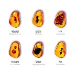 대한민국 대표 문구전문쇼핑몰 모닝오피스 학습교재 l 교구 - 학습교재 l 교구