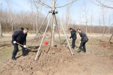 (3.13) 총영사, 한중(옌청) 우호의 숲 식수 행사 참석 상세보기|공관 활동 | 주상하이 대한민국 총영사관 주상하이  대한민국 총영사관 