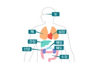 장기기증 < 장기조직기증 < 혈액장기정책 < 공공보건 < 정책 : 힘이 되는 평생 친구, 보건복지부 장기기증 < 장기조직기증 < 혈액장기정책 < 공공보건... 