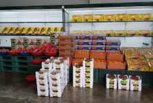 호남청과 - 목포BIZ 호남청과