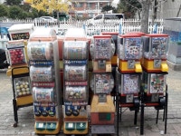 포미팬시 - 목포BIZ 포미팬시