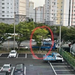 대양로129 앞 신호등 만들어 주세요(사람들이 차에 치일까봐 걱정이... 열린시장실 대양로129 앞 신호등 만들어 주세요(사람들이 차에 치일까봐... 