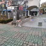 하당 장미의거리 쓰레기들 처리 - 열린시장실 하당 장미의거리  쓰레기들 처리