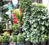 상록꽃백화점 - 목포BIZ 상록꽃백화점