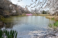 학부시설 > 학부안내 > 미술학부 미술학부