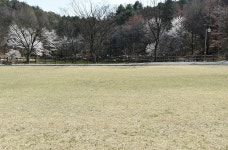 학부시설 > 학부안내 > 미술학부 미술학부