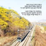 카드뉴스 - 상세보기