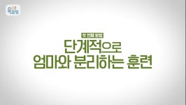 momQ | 맘큐 | 유한킴벌리 직영몰 [부모 행복찾기 4편 시청후기 이벤트] 워킹망&워킹대디 행복찾기 - 아이와 애착형성 고민