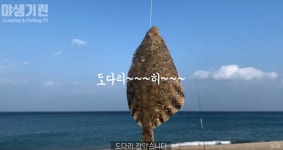 강릉 연곡해변 도다리 원투낚시!! 솔향기캠핑장에서 캠낚 조행기 낚시조행기 | 모두의낚시 - 낚시정보공유서비스, 모낚