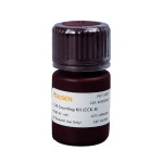 [YEASEN - 한국 공식, 모아바이오] Cell Counting Kit (CCK-8) CCK-8 ----- Fast and Highly Sensitive ! ----- | 연구용제품 > Bio마켓... 