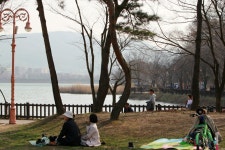 율동공원 오토캠핑장, 도심 속 자연에서 여유를 만끽하세요