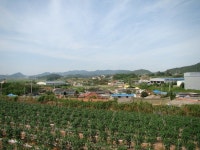 지산1리 복룡 마을 - 농공단지가 들어 서 있는 마을 - 무안군청 지산1리 복룡 마을 - 농공단지가 들어 서 있는 마을