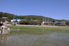 지산2리 지산 마을 - 김덕령 장군의 흔적이 덕영골로 남아있는 마을 - 무안군청 지산2리 지산 마을 - 김덕령 장군의 흔적이 덕영골로 남아있는 마을