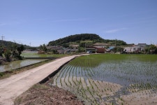 지산2리 지산 마을 - 김덕령 장군의 흔적이 덕영골로 남아있는 마을 - 무안군청 지산2리 지산 마을 - 김덕령 장군의 흔적이 덕영골로 남아있는 마을