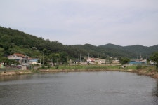 무안군지산3리 藿丹 마을 - 한약재가 많이 나는 마을 지산3리 藿丹 마을 - 한약재가 많이 나는 마을