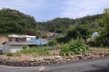 무안군지산3리 藿丹 마을 - 한약재가 많이 나는 마을 지산3리 藿丹 마을 - 한약재가 많이 나는 마을