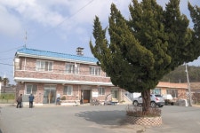 무안군청계면 구로1리 구로동 마을 - 청계만의 황금어장을 안고 있는 마을 청계면 구로1리 구로동 마을 - 청계만의 황금어장을 안고 있는 마을