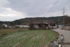 무안군용산1리 인동마을 용산1리 인동마을