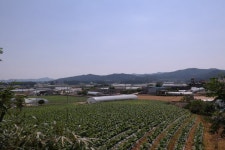 상신기2리 환학동 마을 - 무안군청 상신기2리 환학동 마을