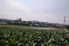 무안군상신기3리 중촌마을 상신기3리 중촌마을