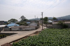 무안군상신기3리 중촌마을 상신기3리 중촌마을