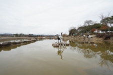 시간의 다리와 인공호수 - 무안회산백련지