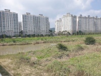 무안군죽산지구(오룡호반써밋 건너편) 개발 및 남상천(남악풍경채앞) 개발 요청 건 죽산지구(오룡호반써밋 건너편) 개발 및 남상천(남악풍경채앞)... 