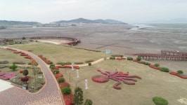 무안황토갯벌랜드, 바다공원에서 만나는 소자연 분재 전시 - 무안군청 무안황토갯벌랜드, 바다공원에서 만나는 소자연 분재 전시