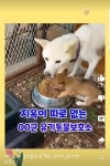 무안군이게 전라도 무안의 수준. 참 떨어진다 이게 전라도 무안의 수준. 참 떨어진다